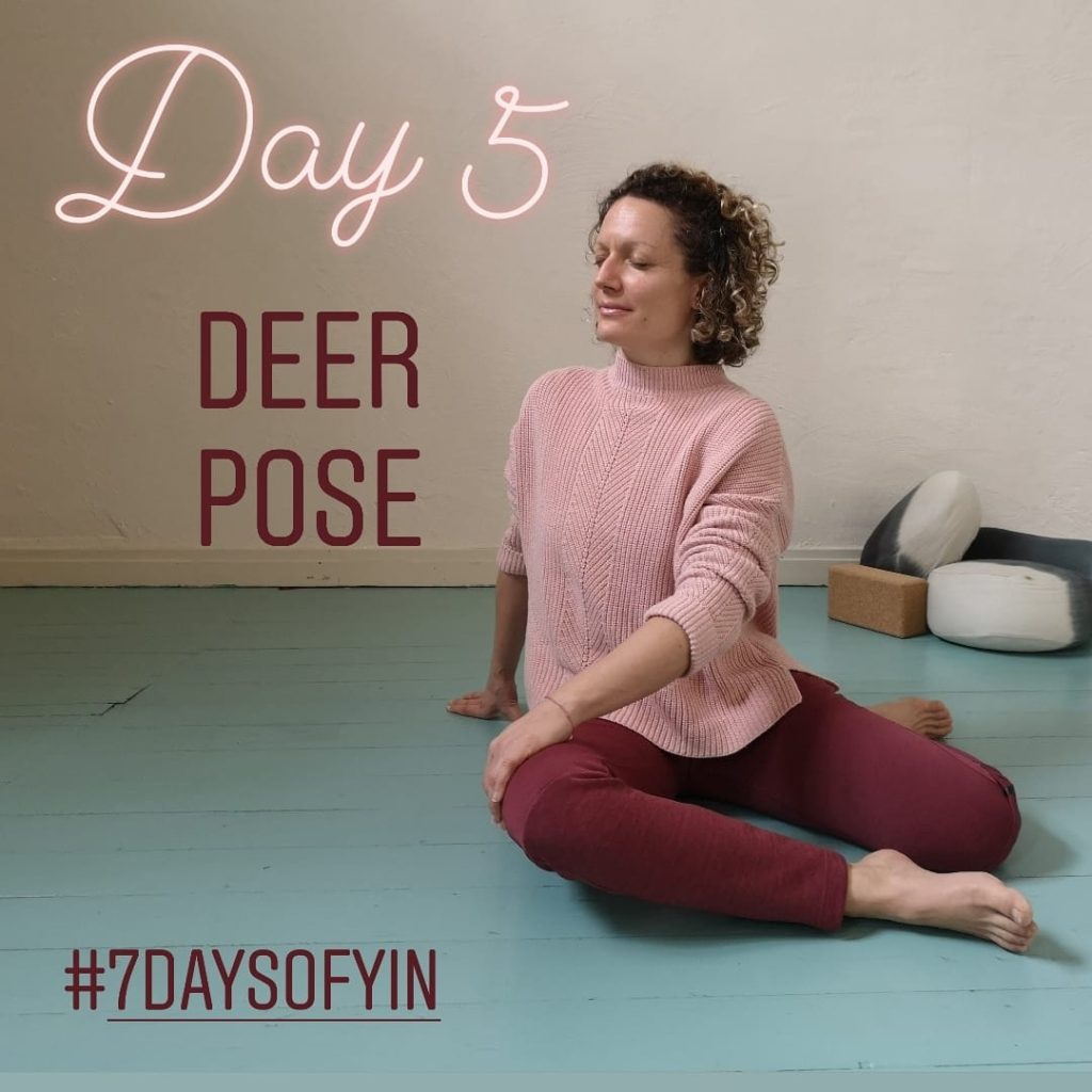 7 Yin Yoga Poses, 1 for Each Chakra - Yoga with Kassandra Blog